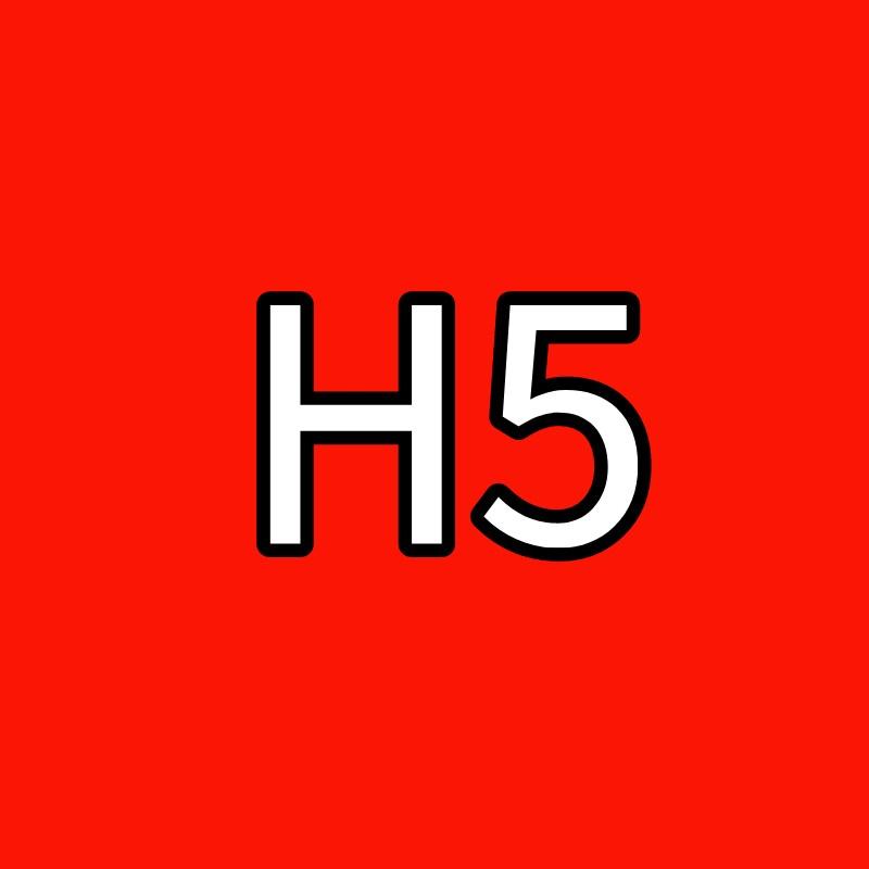 H5网站